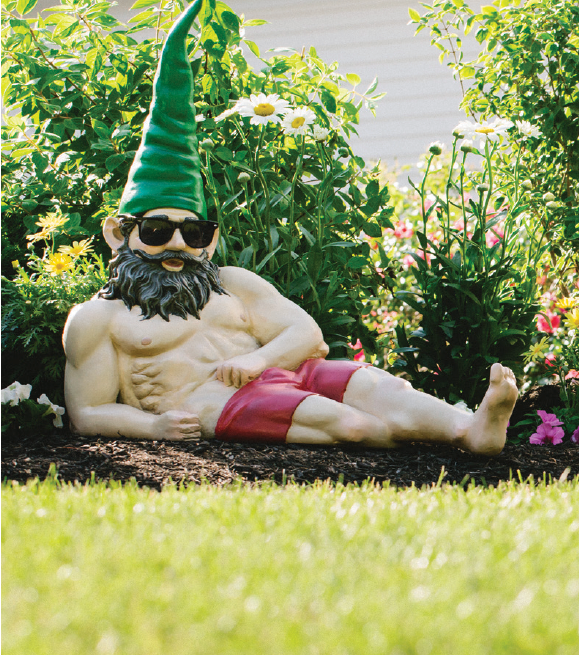 Have your lawn turn heads.