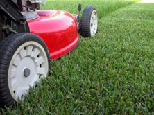 Lawn mower cutting green grass